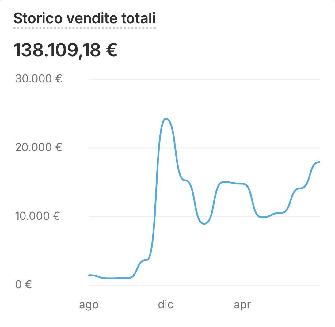 Dashboard 2024 - fatturato 100.000 €